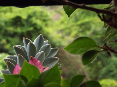 彩民社区